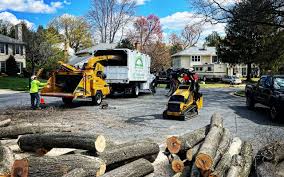 Best Lawn Grading and Leveling  in Cedar Glen West, NJ