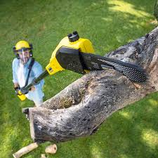 Best Hedge Trimming  in Cedar Glen West, NJ